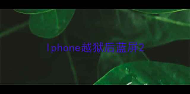 图片 Iphone越狱后蓝屏2