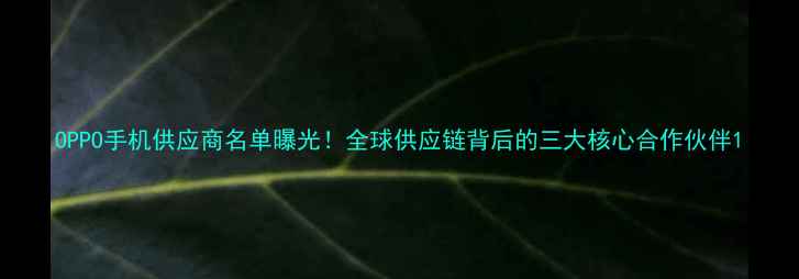 OPPO手机供应商名单曝光全球供应链背后的三大核心合作伙伴