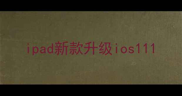 图片 ipad新款升级ios111