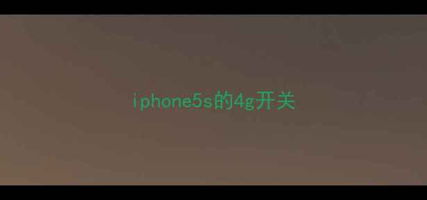 图片 iphone5s的4g开关