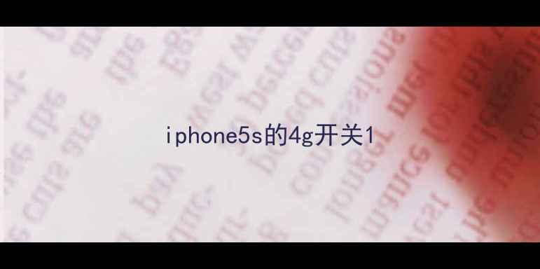 iphone5s的4g开关