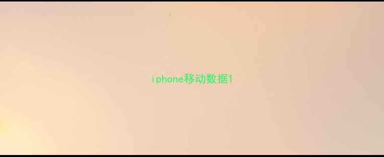 图片 iphone移动数据1