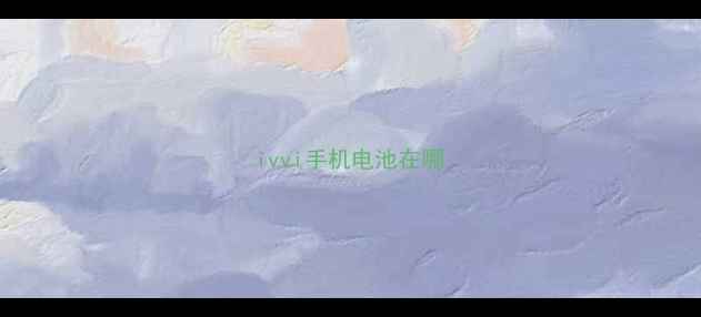 图片 ivvi手机电池在哪