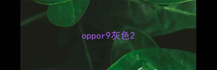 图片 oppor9灰色2