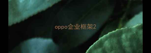oppo企业框架