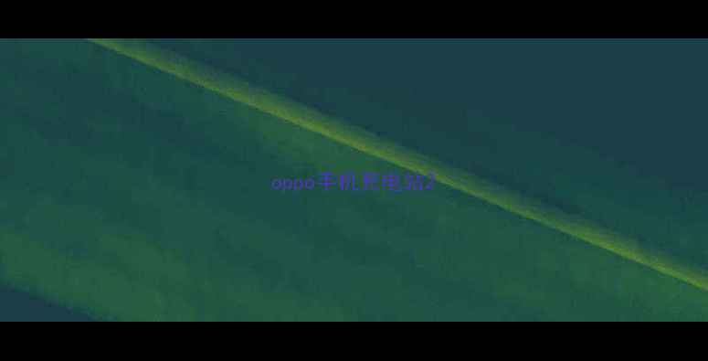 图片 oppo手机充电站2
