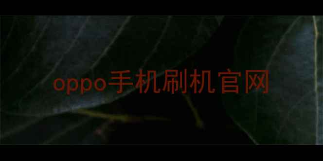 oppo手机刷机官网