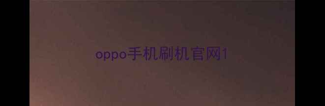 图片 oppo手机刷机官网1