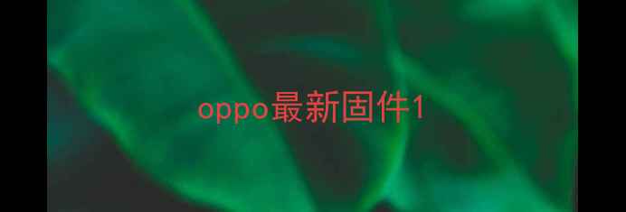 图片 oppo最新固件1