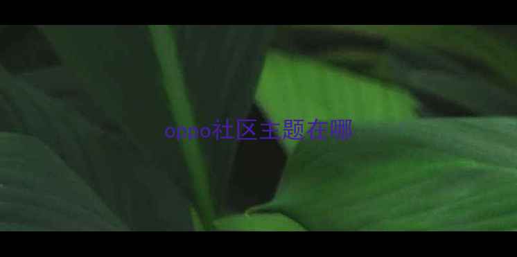 图片 oppo社区主题在哪