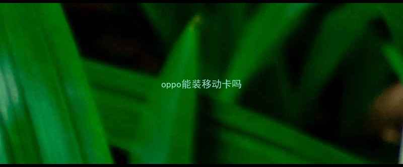 oppo能装移动卡吗