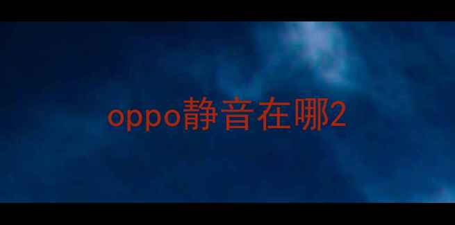 oppo静音在哪