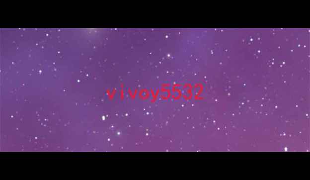 vivoy553