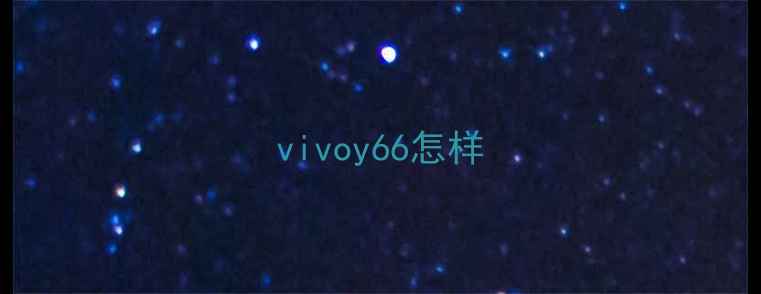 vivoy66怎样