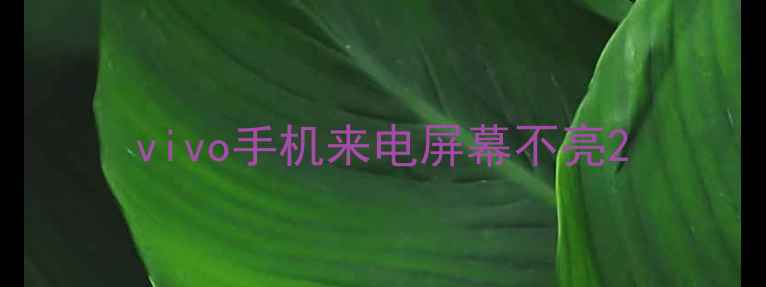 图片 vivo手机来电屏幕不亮2