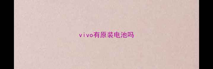 图片 vivo有原装电池吗