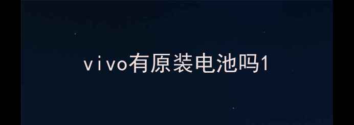 vivo有原装电池吗
