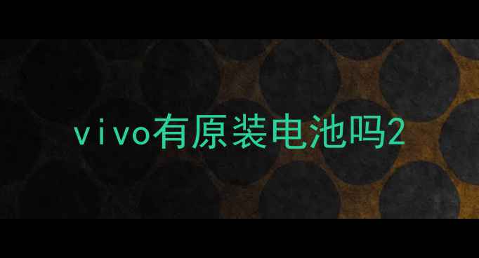 图片 vivo有原装电池吗2