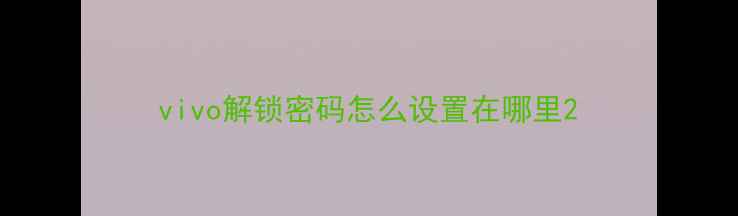 图片 vivo解锁密码怎么设置在哪里2