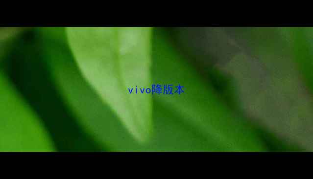 图片 vivo降版本