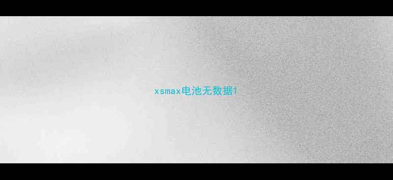 图片 xsmax电池无数据1