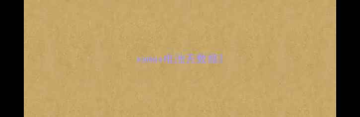 图片 xsmax电池无数据2