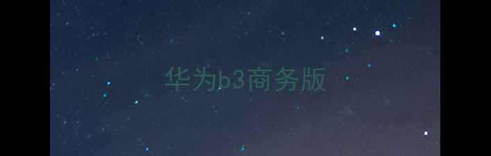 图片 华为b3商务版