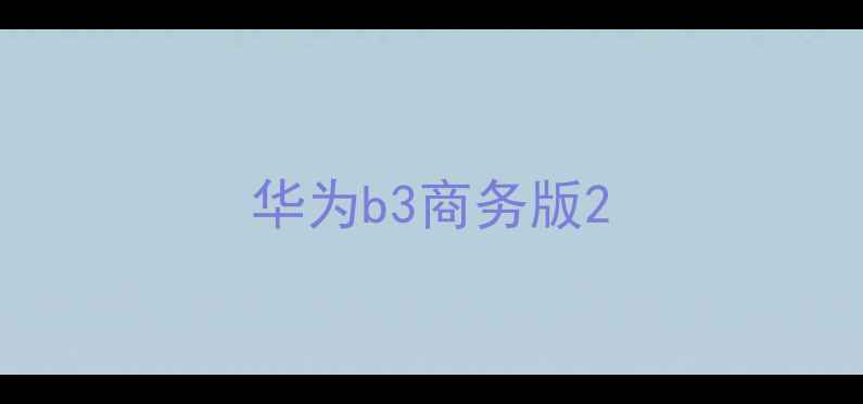 图片 华为b3商务版2