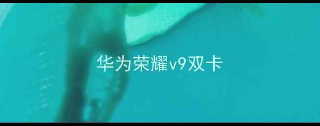 图片 华为荣耀v9双卡