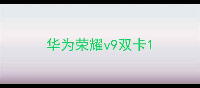 图片 华为荣耀v9双卡1