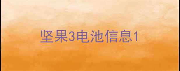坚果3电池信息