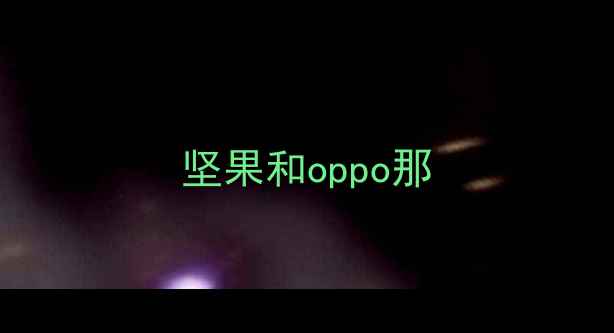坚果和oppo那