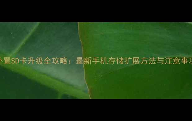 外置SD卡升级全攻略最新手机存储扩展方法与注意事项