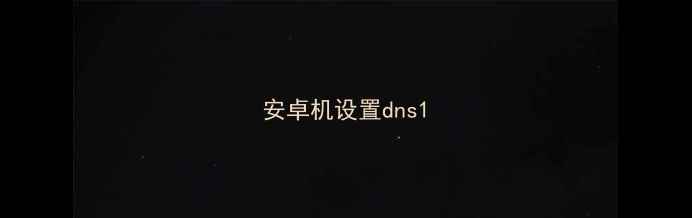 图片 安卓机设置dns1