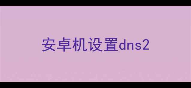 安卓机设置dns