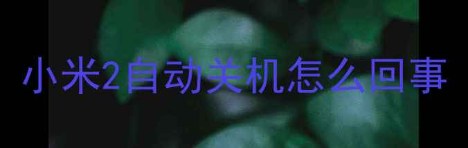 小米2自动关机怎么回事