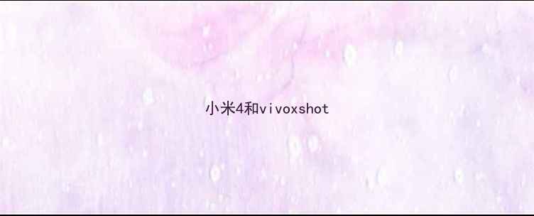 小米4和vivoxshot