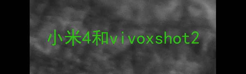 图片 小米4和vivoxshot2