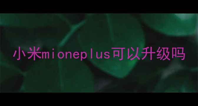 图片 小米mioneplus可以升级吗