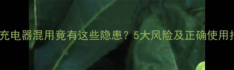 图片 手机充电器混用竟有这些隐患？5大风险及正确使用指南2