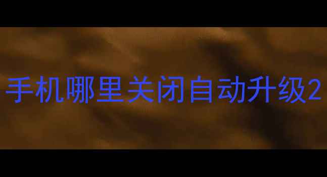 图片 手机哪里关闭自动升级2