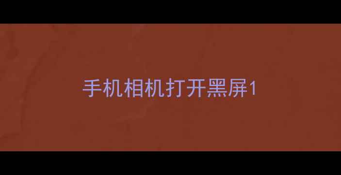 手机相机打开黑屏