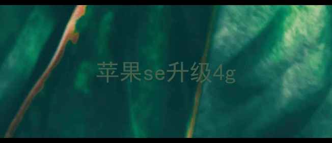 苹果se升级4g