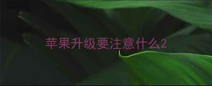 图片 苹果升级要注意什么2