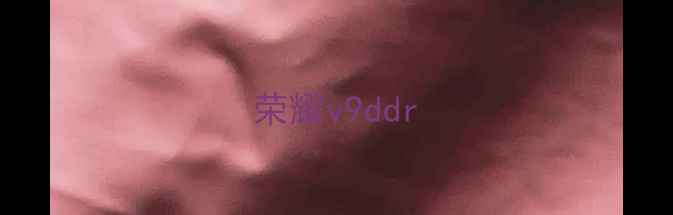 荣耀v9ddr