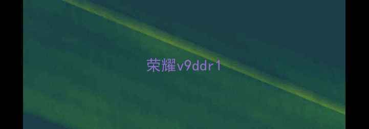 图片 荣耀v9ddr1