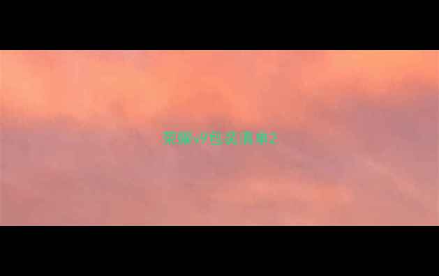 荣耀v9包装清单