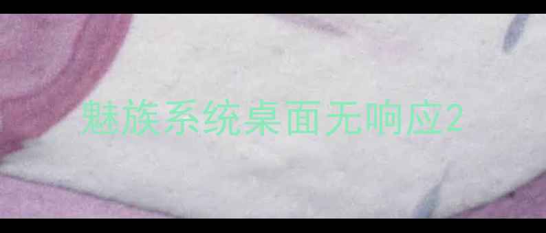 图片 魅族系统桌面无响应2