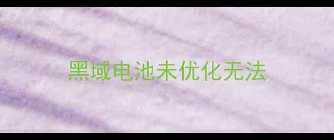 图片 黑域电池未优化无法