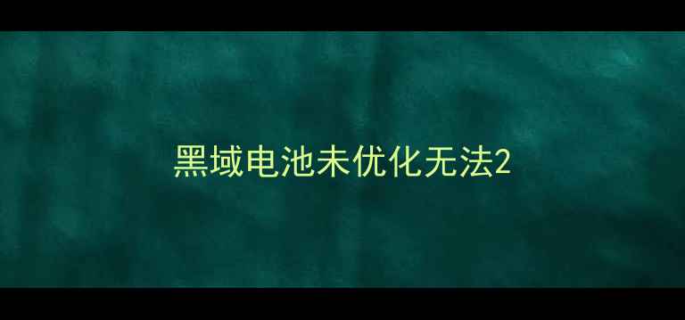 黑域电池未优化无法